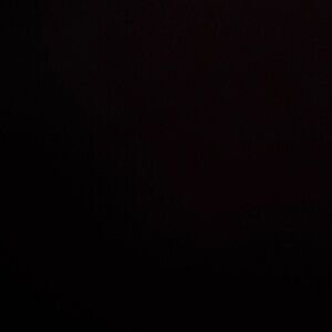 Meet your Posher, Tabitha